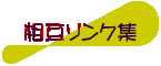 ���݃����N�W
